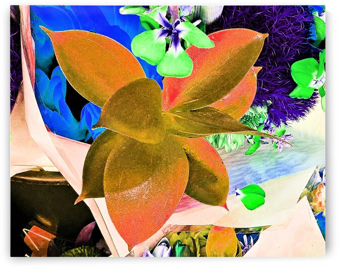 Fine Art Flower by Andrew Lawrence