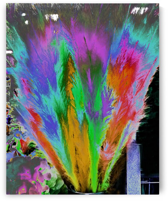 Willows Rainbow by Andrew Lawrence