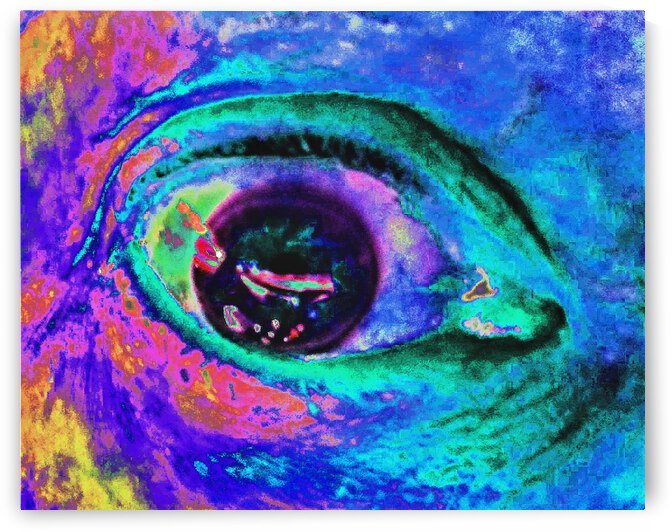 Abstract Eye by Andrew Lawrence