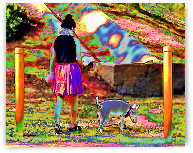 Abstract Dog Walker by Andrew Lawrence