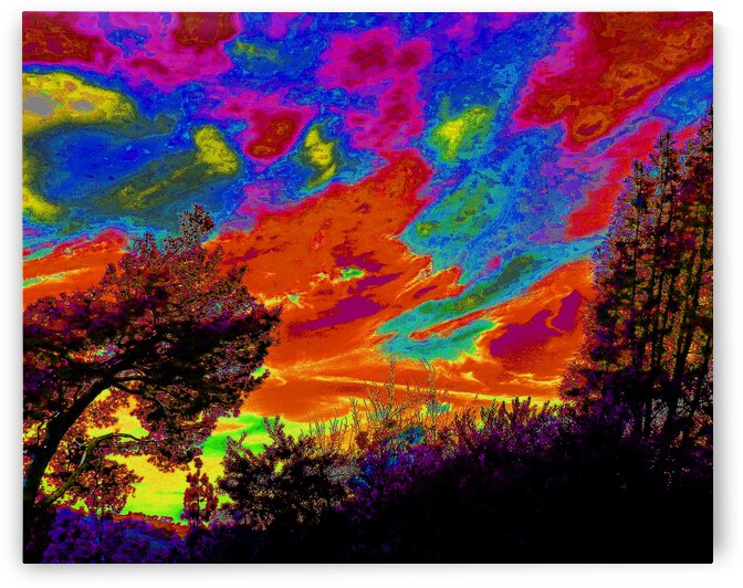 Sky Fi by Andrew Lawrence
