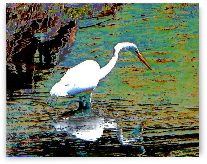 Wading Bird by Andrew Lawrence