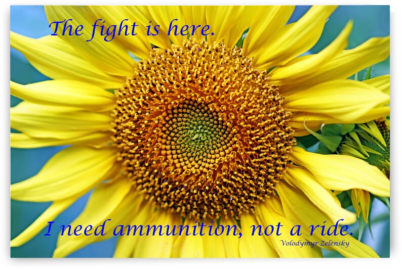 The Fight Is Here by Deb Oppermann