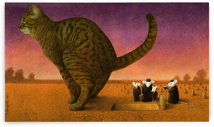 Cat by Pawel Kuczynski