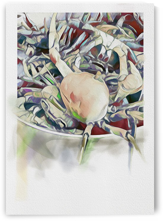 RUNAWAY CRAB portait format by Sibcod