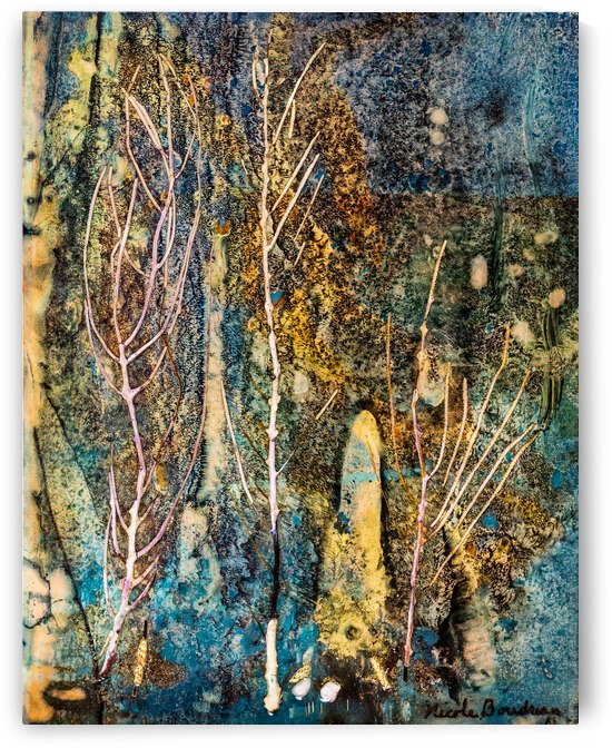 77  Nicole Boudreau Flore Marine 116 Technique Mixte 9X7 D3 6761 by Nicole Boudreau