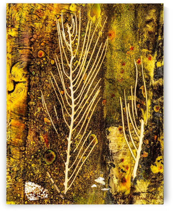 71  Nicole Boudreau Flore Marine 114 Technique Mixte 9X7 D3 6749 by Nicole Boudreau