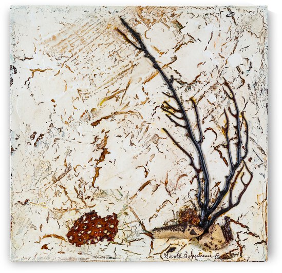 87  Nicole Boudreau Flore MArine 110 D3 6788 by Nicole Boudreau