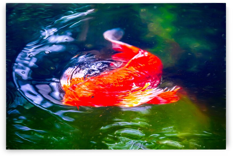 Bubbles by Kyle Arrowood