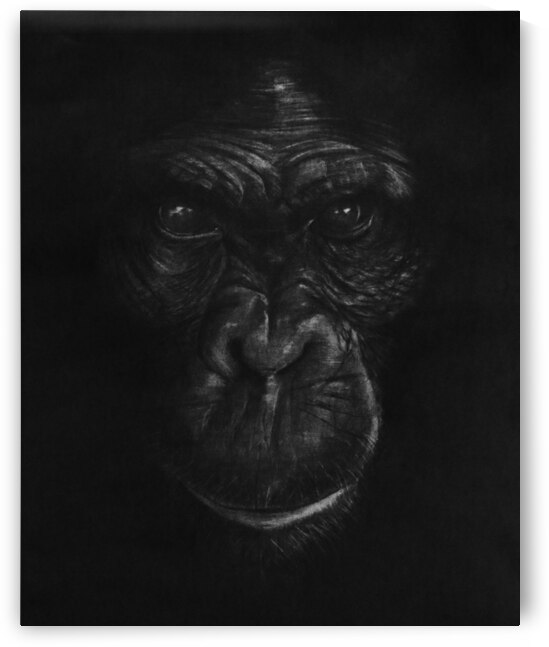 The King Ape by Abhijeet Shrivastava