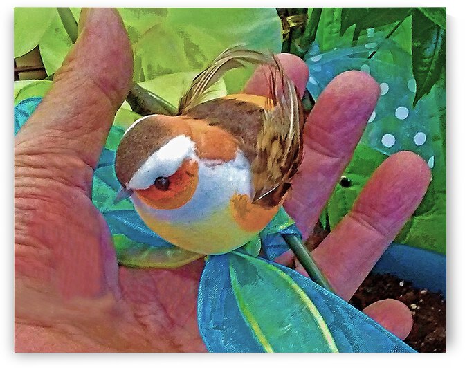 Bird In The Hand by Andrew Lawrence