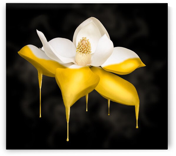 dripping gold flower by Vibrant Canvases