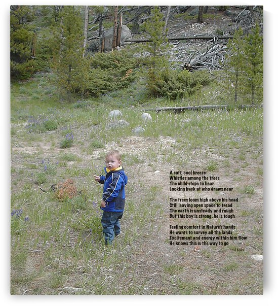 AmongTheTrees - portrait by Images That Speak