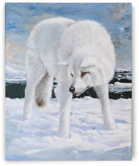 Artic Awareness by Amneris Fernandez