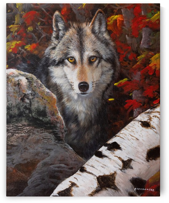 Among the leaves of fall by Amneris Fernandez