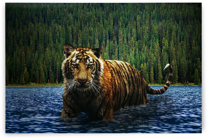 tiger in ocean 2 by Vibrant Canvases