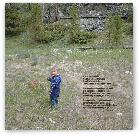 Among the Trees - square by Images That Speak