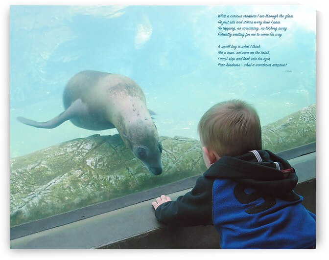 Child in the Glass by Images That Speak