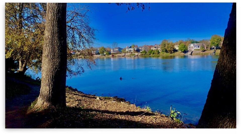 DA7F2BCB E023 4EE1 9AC2 858DEA5E1AF3 by Chiara Walker