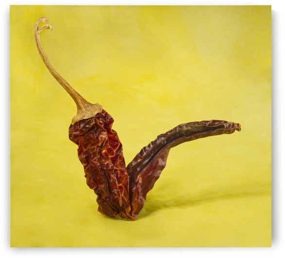 Chilli Pepper Check Mark by Iris H Richardson