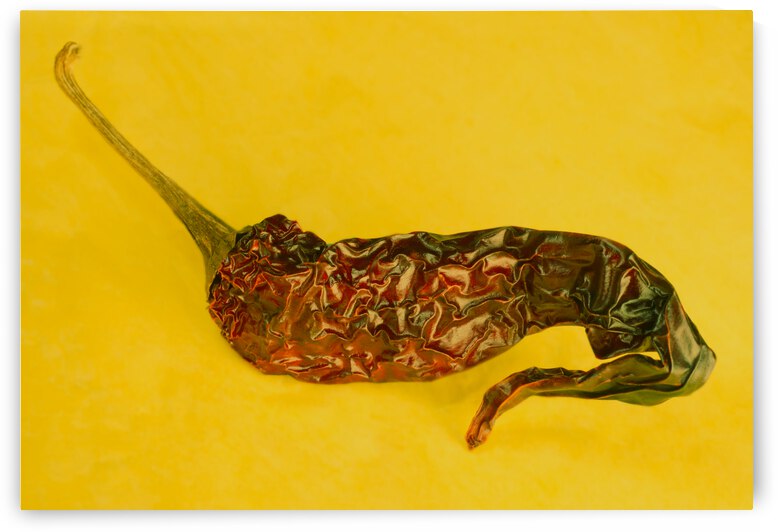 Indian Dried Red Pepper by Iris H Richardson