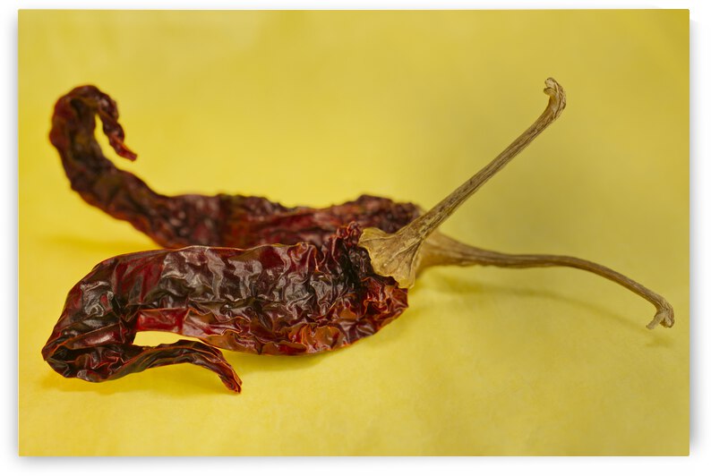 Two Red Hot Chilie Pepper on Yellow Landscape by Iris H Richardson