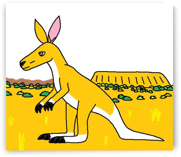 red kangaroo in the australian outback by Liam Frew
