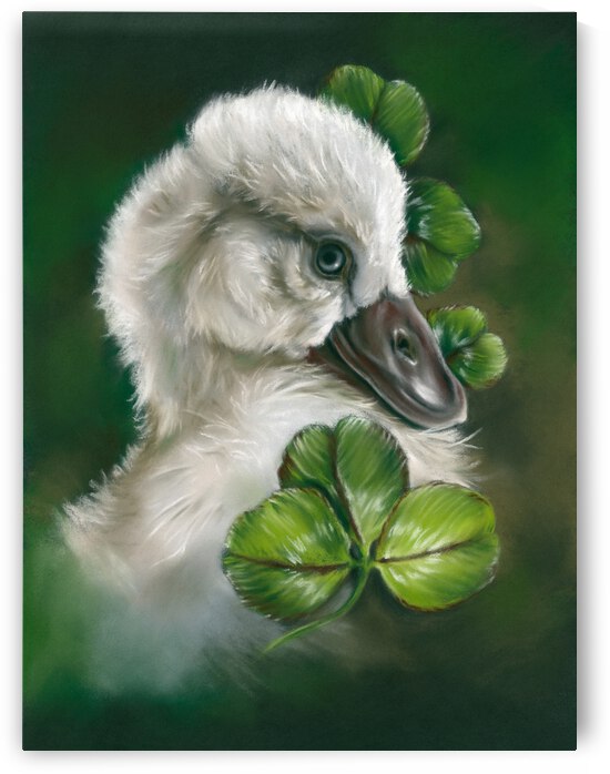 Fluffy Cygnet Hatchling Swan in Clover by MM Anderson