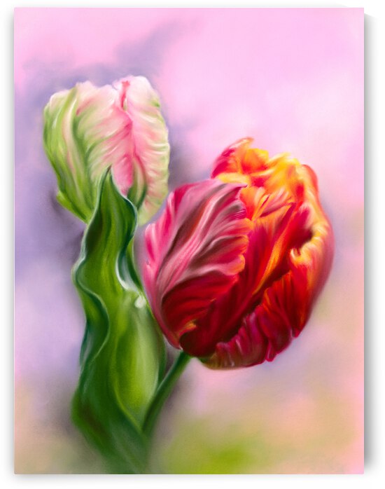 Colorful Spring Tulips with Leaf by MM Anderson