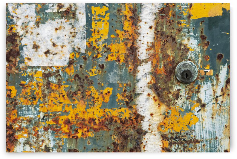 Weathered Door of Venice by Iris H Richardson