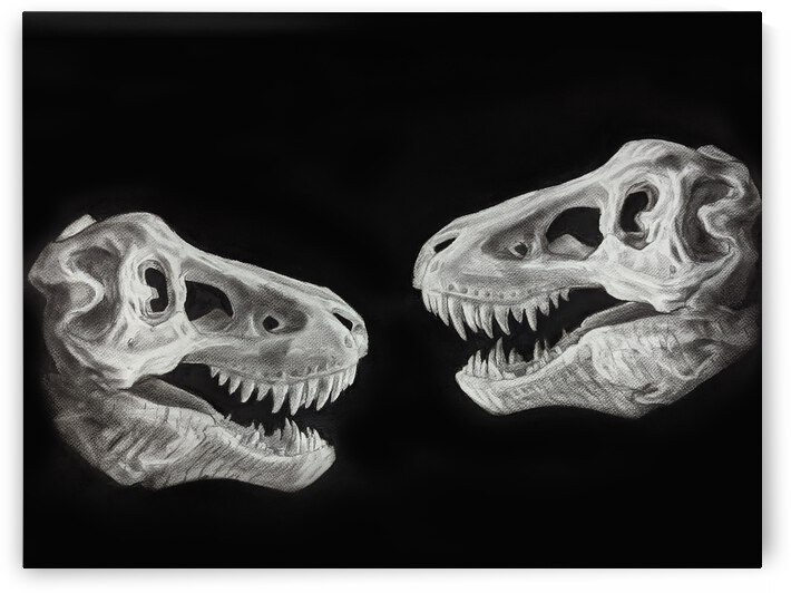 PXL 20220327 141727863 by Abhijeet Shrivastava