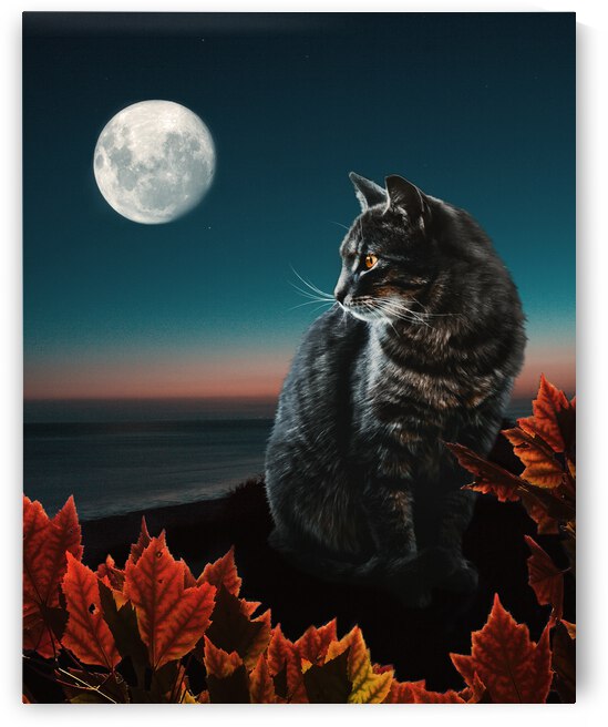 fall kitty by Vibrant Canvases