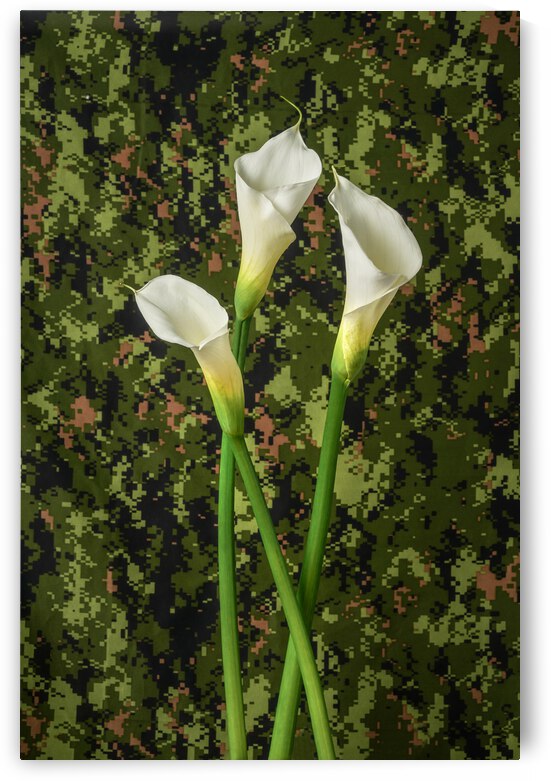 Peace and love callas lilies flower of peace by Francois Lariviere
