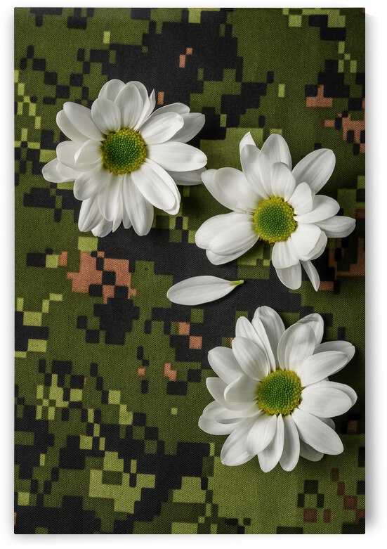 Peace and love daisy - Paix et amour marguerite by Francois Lariviere