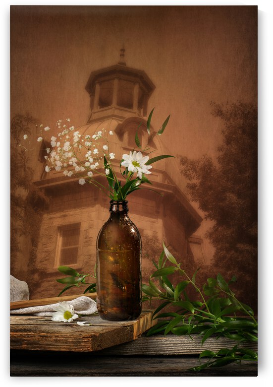 Daisy and architecture by Francois Lariviere