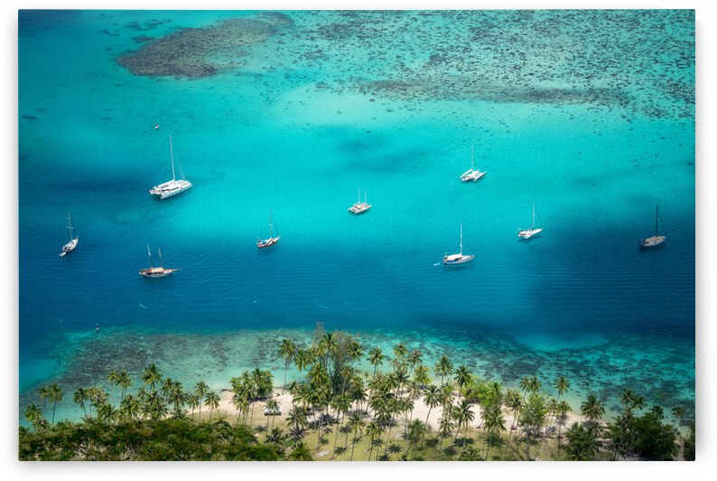 Tropical Paradise by Noah Lang