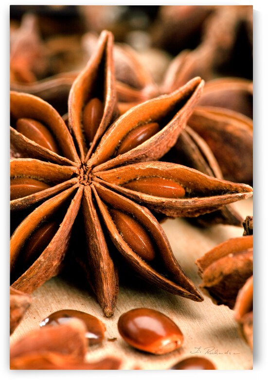 Anis Star by Iris H Richardson