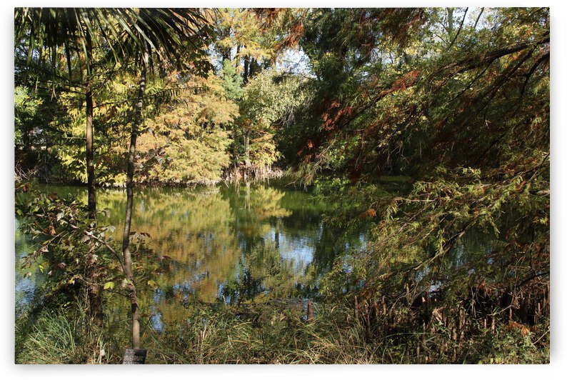 20201111115821 IMG 9996 1 by Deni Remo