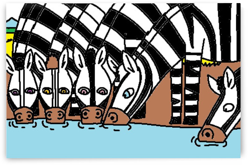 a herd of plains zebra drink water by Liam Frew