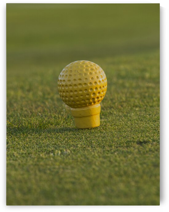 Yellow Golf Ball on Golf T by Iris H Richardson