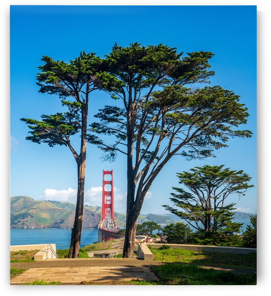 Golden Gate Bridge in San Francisco by Steve Heap