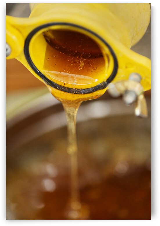 Raw Honey Production by Iris H Richardson