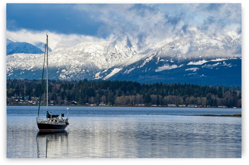 Morning Wait by CRB Images Photography