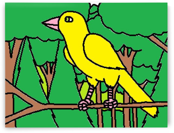 canary in the canary islands by Liam Frew