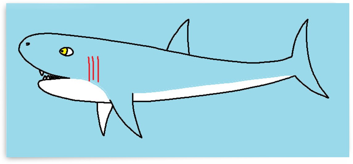 great white shark in the ocean by Liam Frew