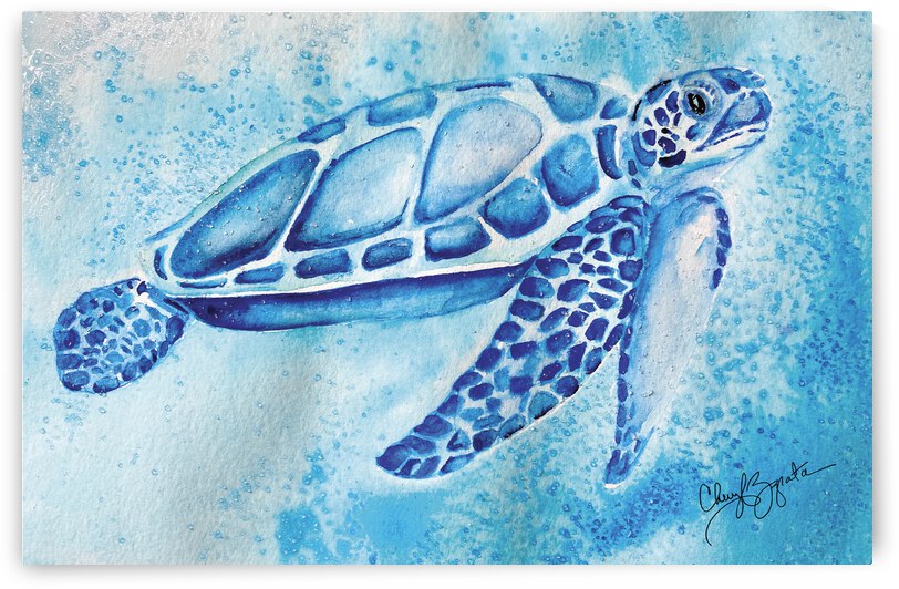 Blue SeaTurtle by Cheryl Zapata