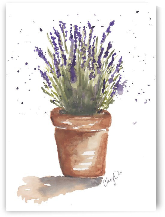  Lavender Watercolor by Cheryl Zapata