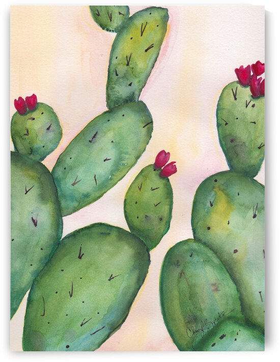 Cactus  by Cheryl Zapata