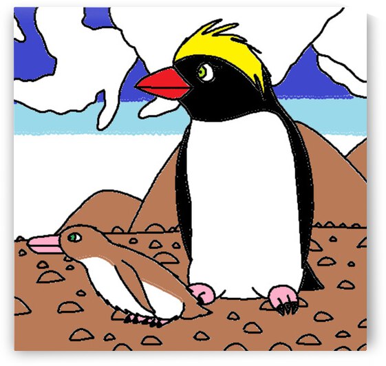 a female northern rockhopper penguin with her chick by Liam Frew