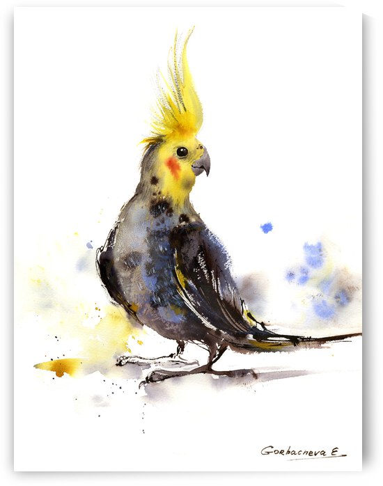 Parrot by Eugenia Gorbacheva